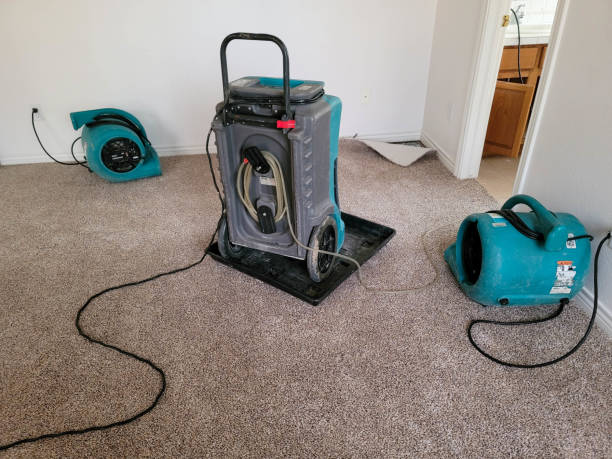 Best Carpet water damage restoration  in Wailua Homesteads, HI