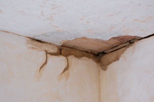 Best Fire Damage Restoration  in Wailua Homesteads, HI