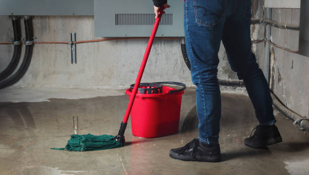 Best Water damage cleanup near me  in Wailua Homesteads, HI