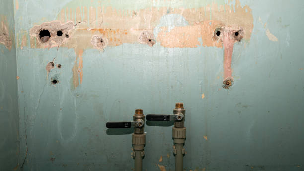 Best Residential water damage restoration  in Wailua Homesteads, HI