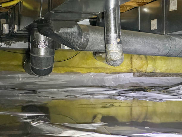 Best 24/7 water damage repair  in Wailua Homesteads, HI
