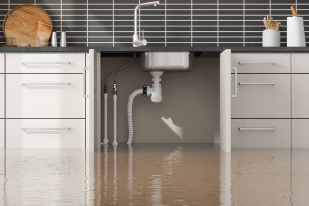 Best Water damage restoration process  in Wailua Homesteads, HI