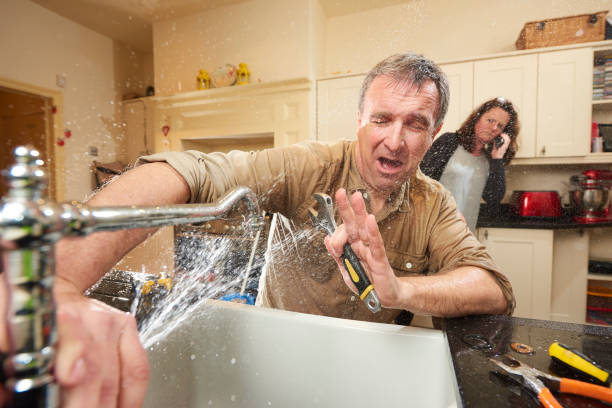 Best Carpet water damage restoration  in Wailua Homesteads, HI